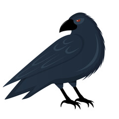 Creepy crow on a white background