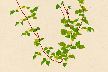 Ilustracja motyw roślinny zielone liście na jasnym tle.