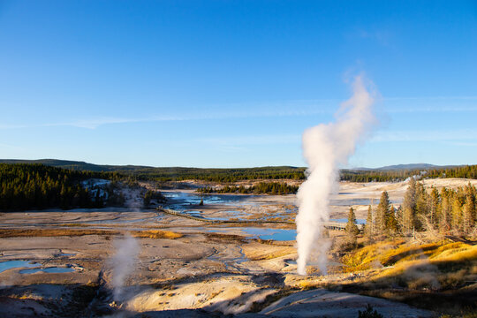 Norris Geyser Basin in Yellowstone National Park USA