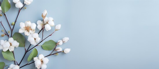 Flowers with eucalyptus and cotton Flat lay top view Blog mockup isolated pastel background Copy space