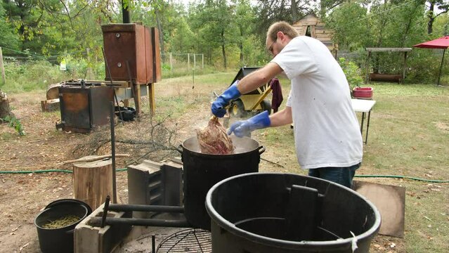 Man in white shirt wearing blue het resistant blue gloves scalding butchered chicken for plucking.