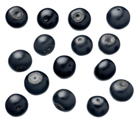 Blueberry berries isolated on white background.