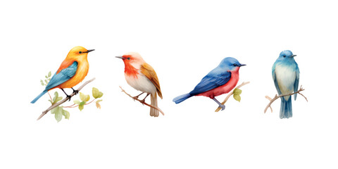 set of birds on white background