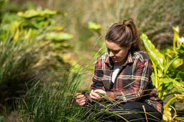 regenerative organic female farmer, taking soil samples and looking at plant growth in a farm....