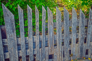 Fototapeta premium An old wooden fence on an autumn morning