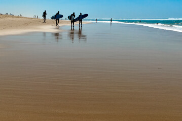 Gruppe von Surfern am Meer