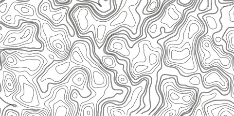 Topographic Map. Topographic Background. Topography Map Line. Black and White Pattern of Lines and Curves