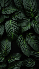 Leaves in a dark jungle setting, capturing the mysterious allure of nature.