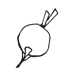 Vegetble Outline Graphics Set