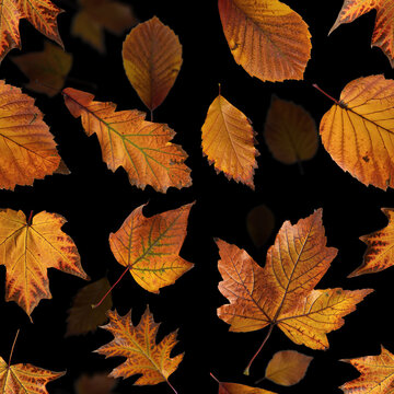 Seamless pattern, autumn, yellow leaves. Autumn leaves, seamless pattern, wallpaper image, textile, packaging