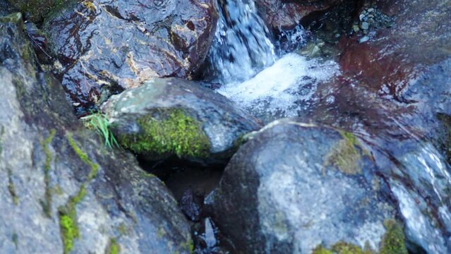 Mountain river, a spring in the mountains. Splash of water and rocks with moss, close-up.