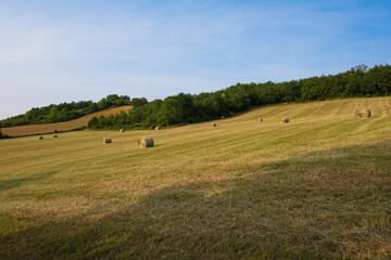 Oingt countryside, France