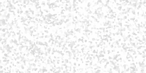 Abstract black and white background with paper texture design, Terrazzo flooring marble stone wall texture,white terrazzo seamless floor tile on cement surface . Grinite wall texture background 