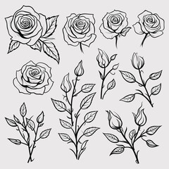 Cute and funny coloring page of a Floral set of delicate roses with leaves.. Provides hours of coloring fun for children. To color this page is very easy. Suitable for little kids and toddlers.
