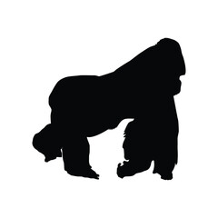 Gorilla Silhouette Art. animal, vector, silhouette, mammal, dog, illustration, bear, wild, cartoon, isolated, wildlife