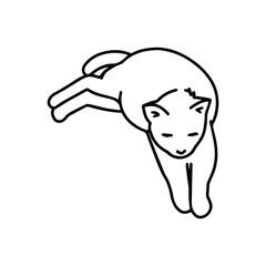 Lazy cat laying alone