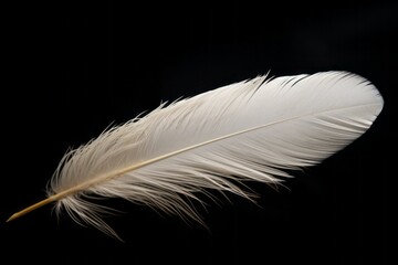 AI Generated image of white feather on black background