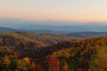 Mountain Dawn: Panoramic Autumn Forest with Blue Sky and Misty Sunrise.