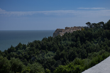 Peschici town in background behind the forest in Gargano, Italy