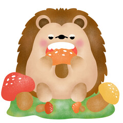 Cute porcupine eat mushroom in the garden 