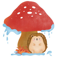 mushroom and porcupine on rainy day