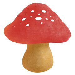 Mushroom 