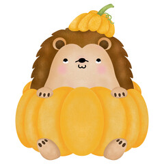 porcupine with pumpkin in autumn,fall season