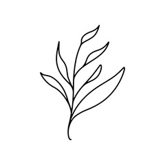 black and white floral