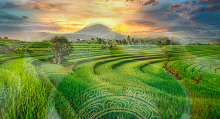 Sound healing therapy session in bali Ubud indonesia rice field at sunset  - obrazy, fototapety, plakaty