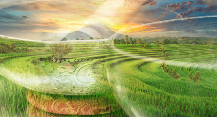 Tibetan bowl sound healing retreat in Bali Ubud indonesia sunset rice field landscape  - obrazy, fototapety, plakaty