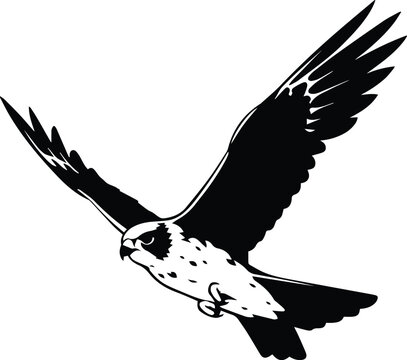 falcon Flying Logo Monochrome Design Style