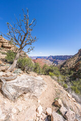 hiking the tanner trail in grand canyon national park, arizona, usa