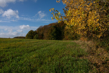 Rural landscape with hills in autumn.