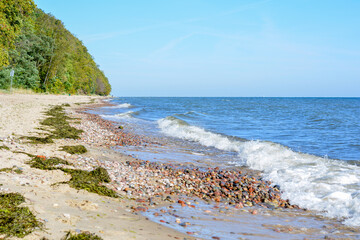 Shore of the Baltic Sea, beach with pebbles and trees in the background