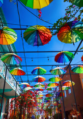 Colorful umbrella decoration-A street decorated with colorful umbrellas in Puerto Plata, Dominican Republic - obrazy, fototapety, plakaty