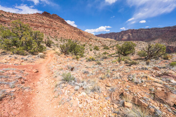 hiking the tanner trail in grand canyon national park, arizona, usa
