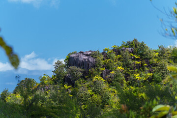 A rock rises out of the jungle in the Seychelles.