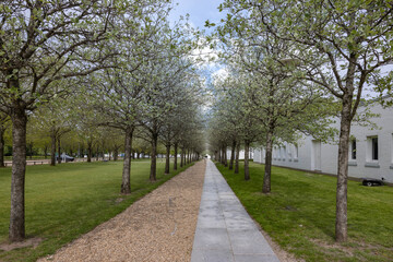 Fototapeta na wymiar Walking through the Herning sculpture park and educational area