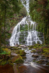 Fototapeta na wymiar Stunning Nelson Falls located in Franklin-Gordon Wild Rivers National Park, Tasmania, Australia