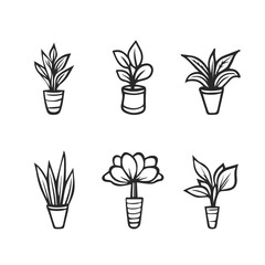 Cute houseplants in flower pot isolated on white background. Vector set