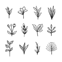 Doodle style vector illustration. Set of simple elements of plants.