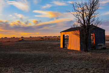 Obraz na płótnie Canvas Landscape photo of old vintage rusty barn shed in a field with sunset background