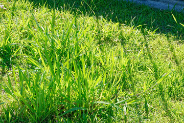 公園施設物の抽象風景