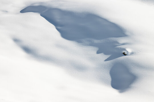 Fresh snow detail