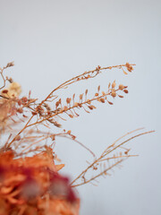 Close-up of dried flowers on gray background. Still life concept. Autumn, fall mockup.