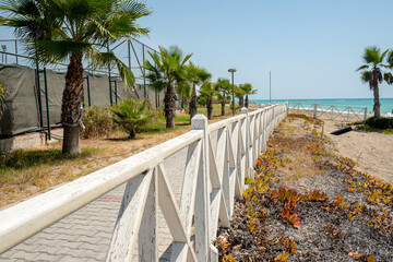 typical tropical atmosphere, beach holiday relax during sunny day in coastal resort with palm trees, wooden path, deckchairs and ocean in the back, nobody © jan_S