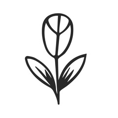 Hand drawn vector illustration of flower. Element on white. Doodle icon