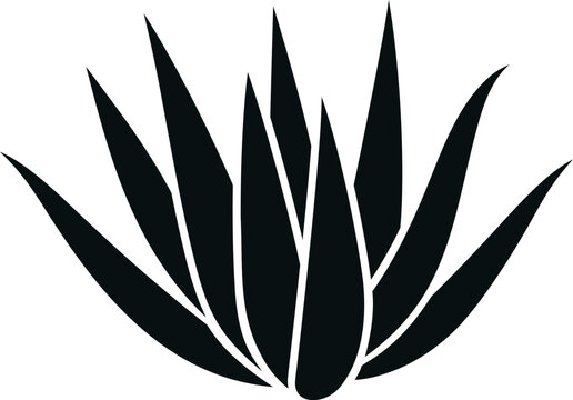 black agave plant silhouette on white clip art preview