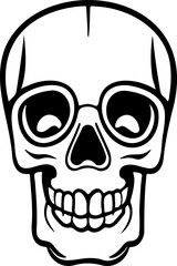 Drawing of human skull.