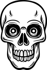 Drawing of human skull.